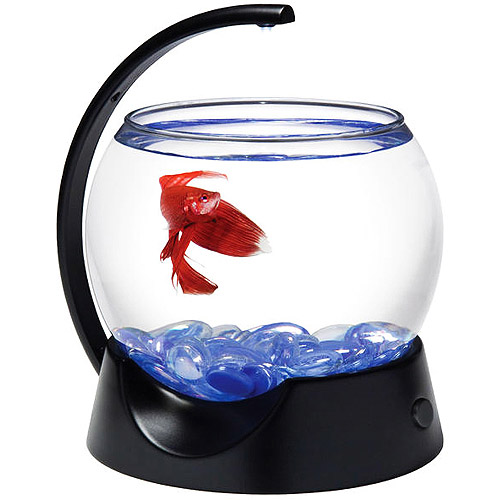 Аквариумы для рыбок петушков. Аквариум Tetra Betta Bowl. Tetra Betta Bowl 1.8 литра. Рыбка петушок в аквариуме. Аквариум для петушка.